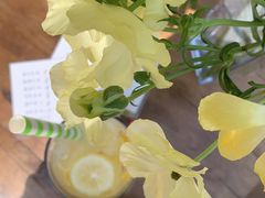 -春风十里咖啡馆