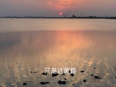 -碧海金沙