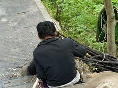-王顺山国家森林公园