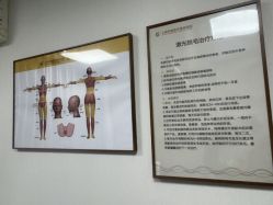 -上海华美医疗美容医院