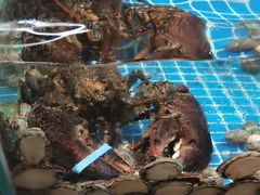 -和源祥·日照菜扛把子(万平口一店)