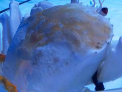 -澜棠海鲜(余姚阳明古镇店)