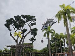 -圣淘沙天际线斜坡滑车
