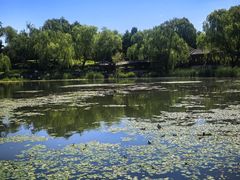 -北坞公园