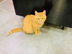 -福瑞记老孙头biangbiang面(新生路店)