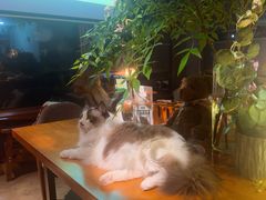 -咖法森林·咖啡  酒吧(天河店)