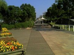 -新江湾城公园