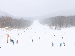 -五家山森林公园滑雪场