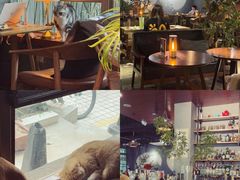 -咖法森林·咖啡  酒吧(天河店)