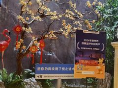 -中骏世界城(泉州店)