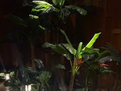 -紫莲花足道(柯桥古镇店)