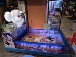 -卡通尼·Safari非洲探索乐园·生日会(金桥国际商业广场店)