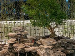 -观宴·品质赣菜(高新大道店)