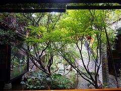 -鱼桥巷·美学川菜