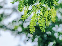 -南京市无想山景区