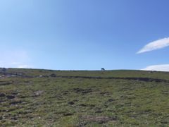-灵山