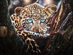 -罗红摄影艺术馆