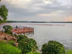 -丁香湖公园
