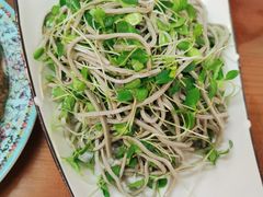-楊老黑卤煮·京味菜