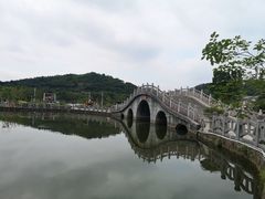 -大屏嶂森林公园