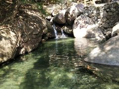 -罗浮山-南楼寺