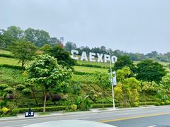 -南宁国际会展中心(会展东博文化旅游区)