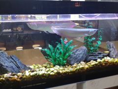 -水立方国际汤泉(六一中路店)