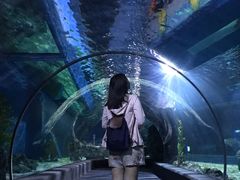 -暹罗海洋世界