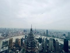 -上海柏悦酒店
