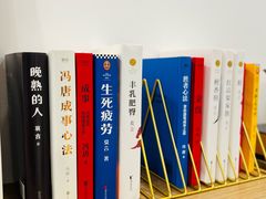 -青岛鸿发智越领克新能源中心