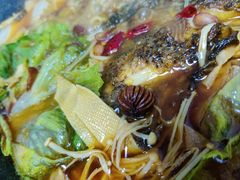 -老渔夫烤鱼(华泰店)