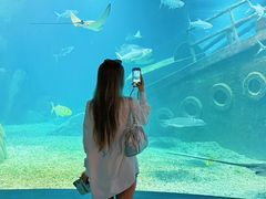 -福州罗源湾海洋世界旅游区