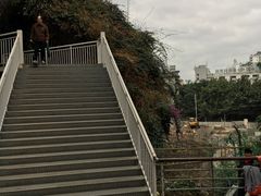 -金鸡山公园