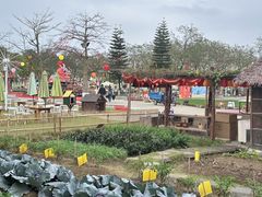 -盈香心动乐园
