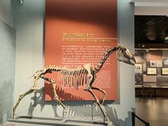 -齐齐哈尔市博物馆