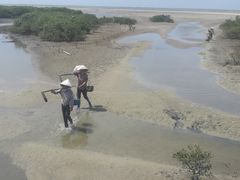 -北海金海湾红树林生态旅游区
