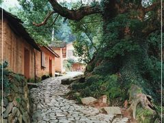 -杨家堂村