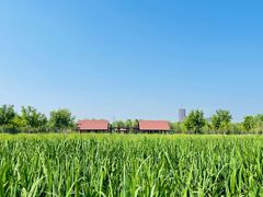 -永定河休闲森林公园