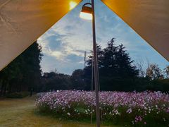 -上海滨江森林公园