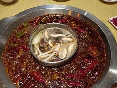 -田鸭肠·非遗火锅(彭州店)
