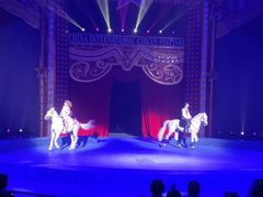 -珠海横琴长隆《卡卡虎奇遇记》