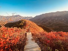 -水峪民俗村