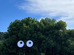 -绍兴启迪乔波冰雪世界