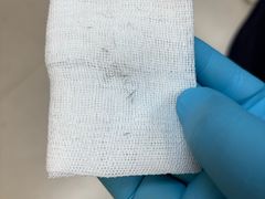 -爱妮康宠物医院·干细胞免疫细胞·肿瘤·心脏(张江店)