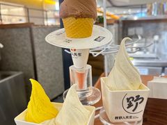 -野人先生Gelato(上海长宁龙之梦店)