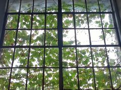 -半岛1919创意园区