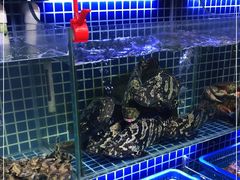 水产区-必点海鲜·鲅鱼水饺(鞍山西道店)