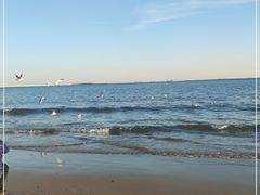 -金梦海湾浴场