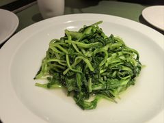 -老吉堂上海本帮菜(望京万象汇店)