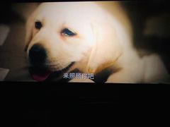 -环球时代影城(吉大店)